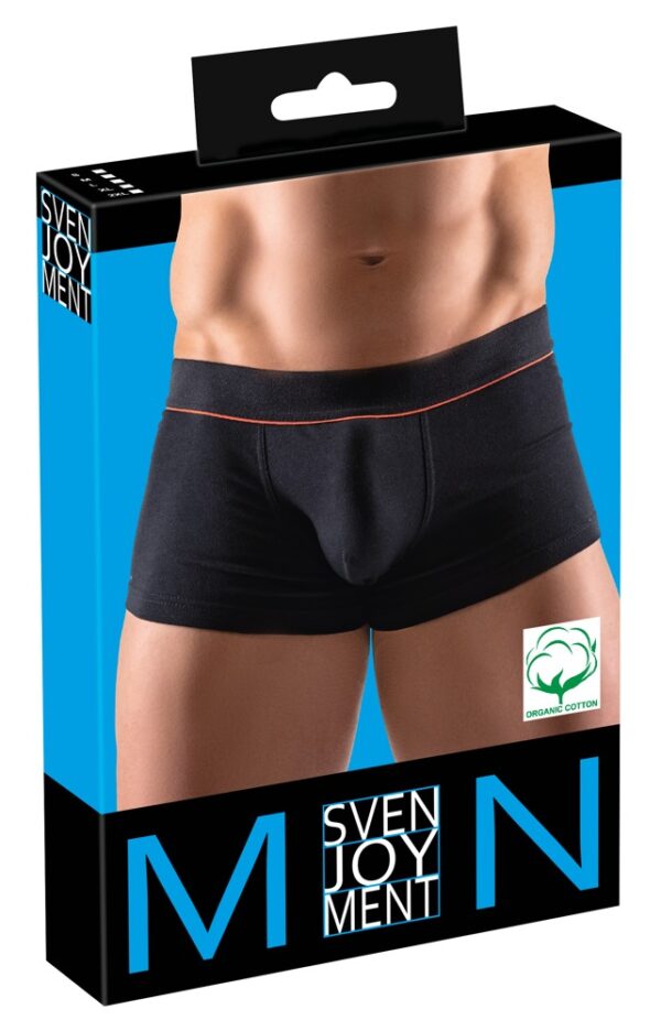 Mens Pants L