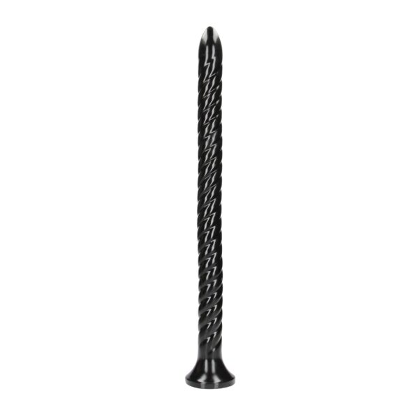 Swirled Anal Snake   20/ 50 cm