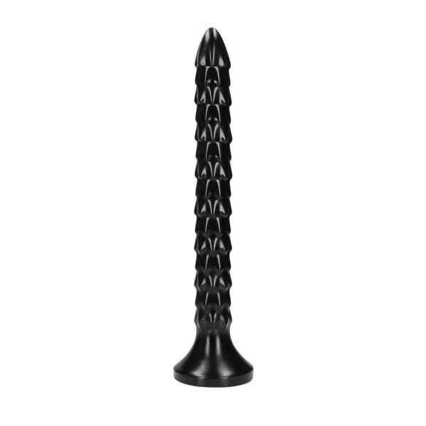Scaled Anal Snake   12/ 30 cm