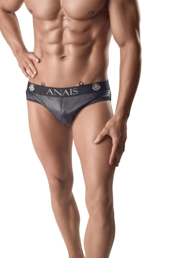ARES SLIP S ( MENS SLIP/SLIPY MĘSKIE)