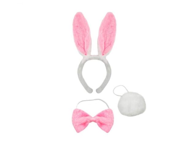 Fun Products   Bunny Roleplay Kit