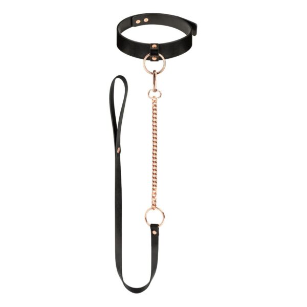 Rosy Gold   Collar with Leash   Black