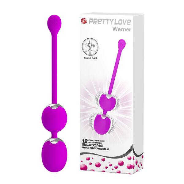 PRETTY LOVE   WERNER USB 12 function