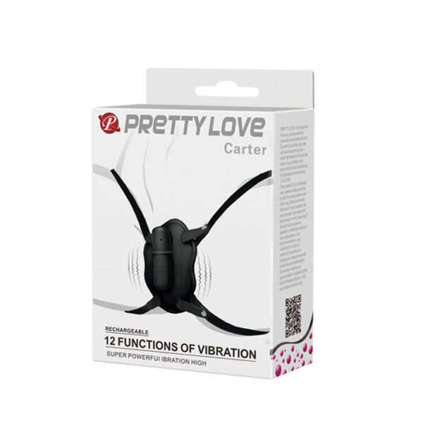 PRETTY LOVE   Carter 12 functions