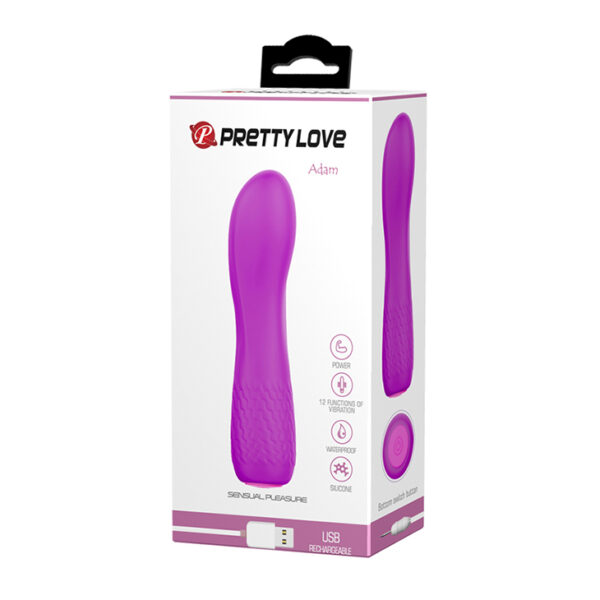 PRETTY LOVE   ADAM USB 12 function