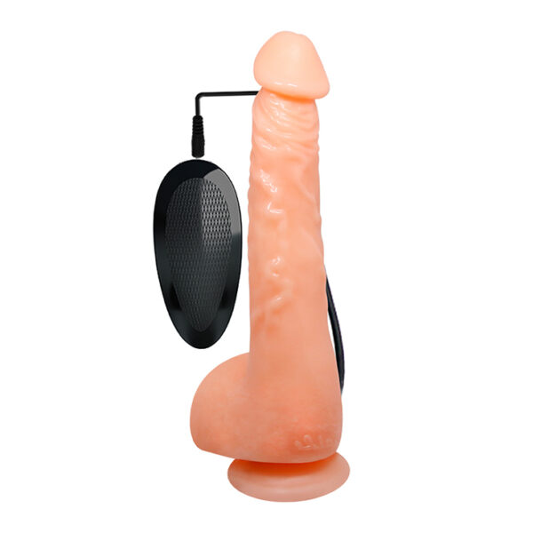 BAILE  JASSON 9.8Multi Speed of Vibration