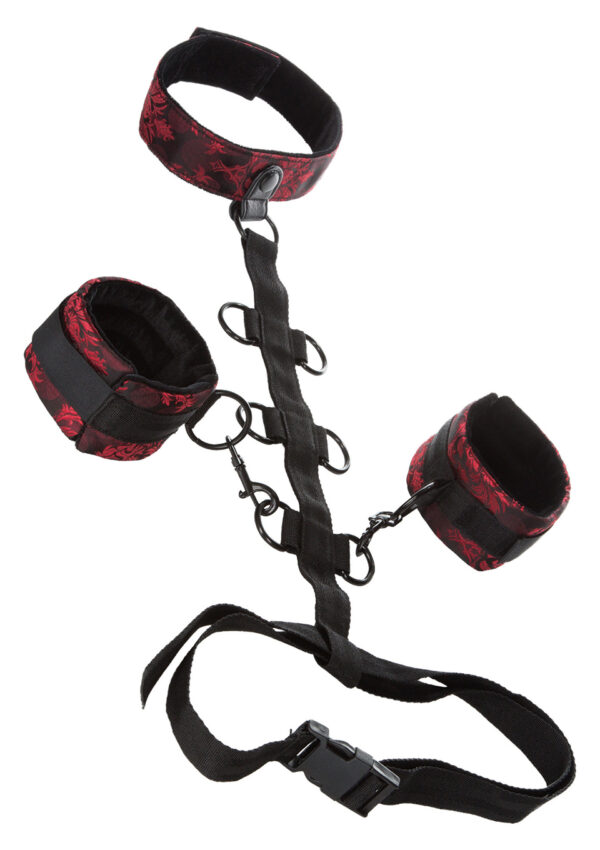 Scandal Collar Body Restraint Black