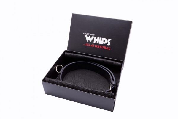 Wiązania WHIPS obroża męska wąska
