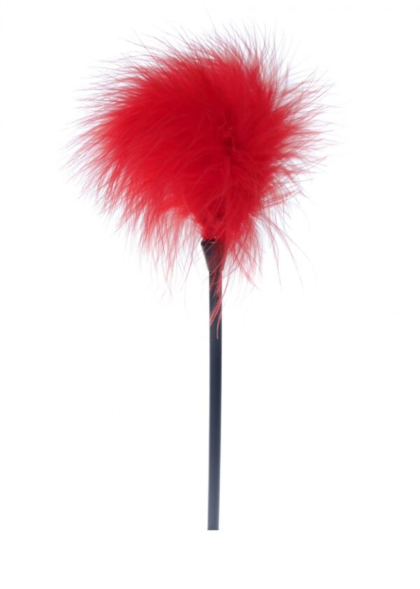 Feather Tickler Red   B   Series Fetish