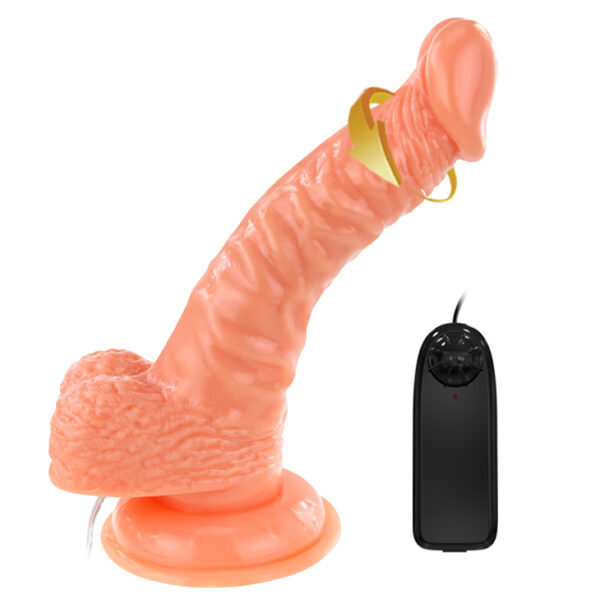BAILE   SUPER ROTA DONG, Vibration Suction base