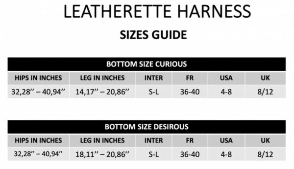 LEATHERETTE HARNESS CURIOUS - obrazek 11