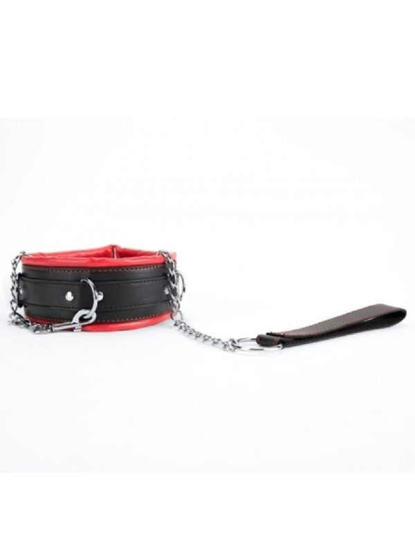 Red Collar And Leash - obrazek 2