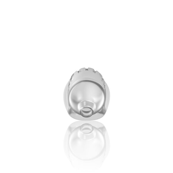 Model 29   TPE Chastity Cage   Transparent - obrazek 2