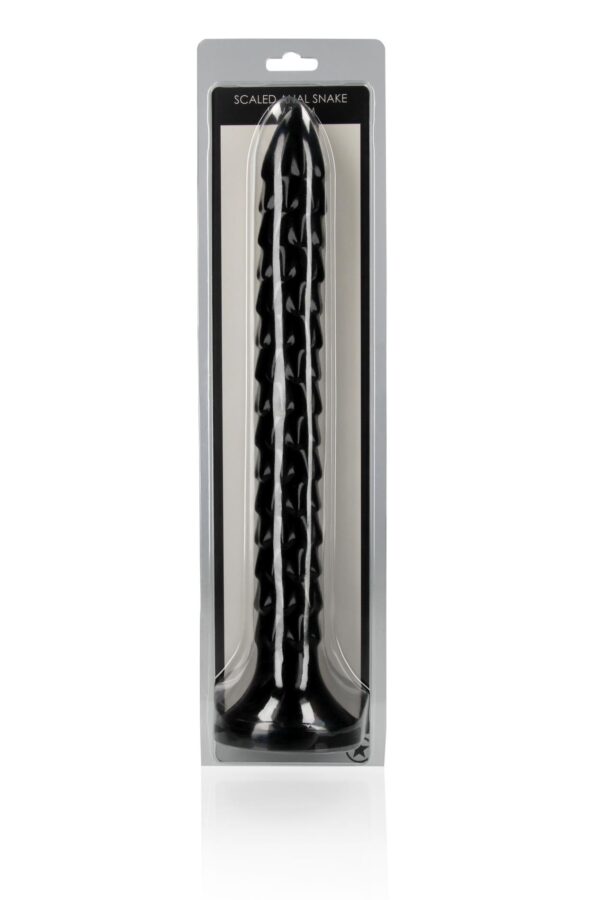 Scaled Anal Snake   12/ 30 cm - obrazek 2