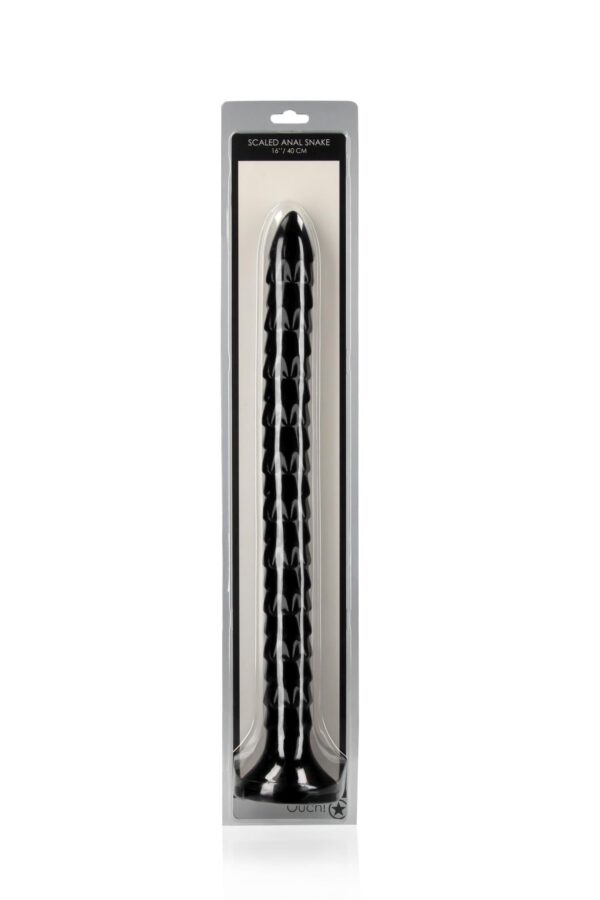 Scaled Anal Snake   16/ 40 cm - obrazek 2