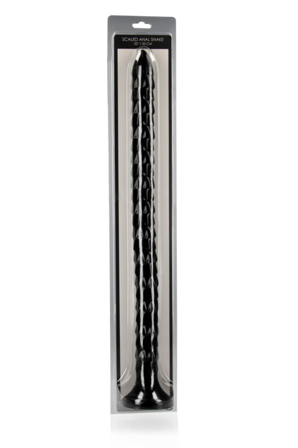 Scaled Anal Snake   20/ 50 cm - obrazek 2