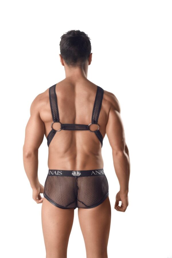 AXEL HARNESS (II) L/XL - obrazek 2