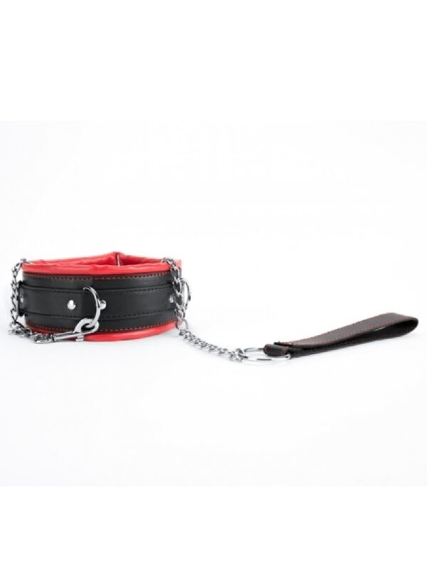 Red Collar And Leash - obrazek 2