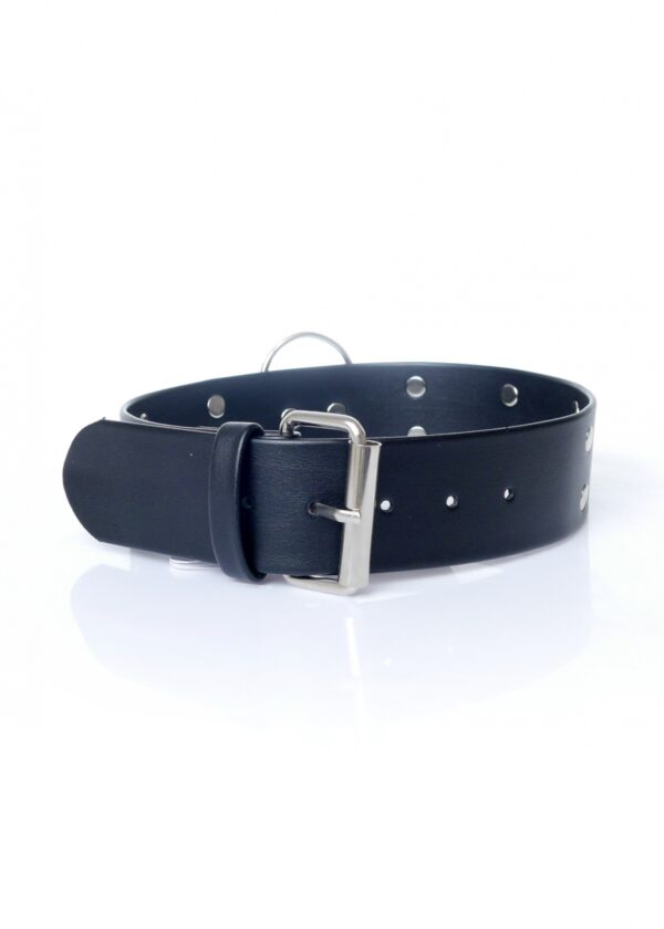 Fetish B   Series Collar with studs 4 cm - obrazek 2