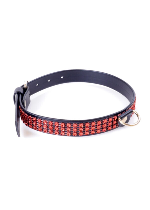 Fetish B   Series Collar with crystals 2 cm Red Line - obrazek 2