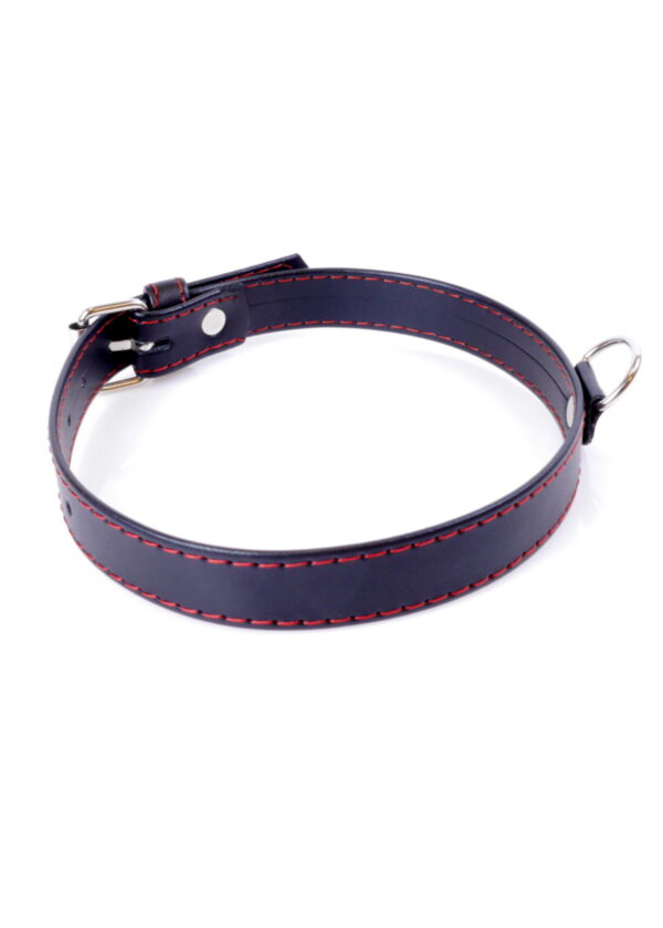 Fetish B    Series Collar  2cm Red Line - obrazek 2