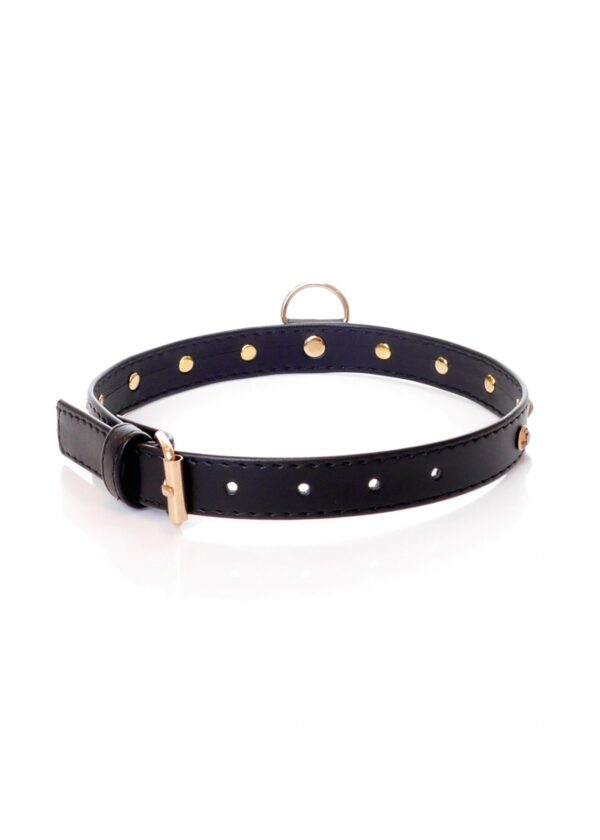 Fetish B   Series   Collar 2 cm gold crystal - obrazek 2