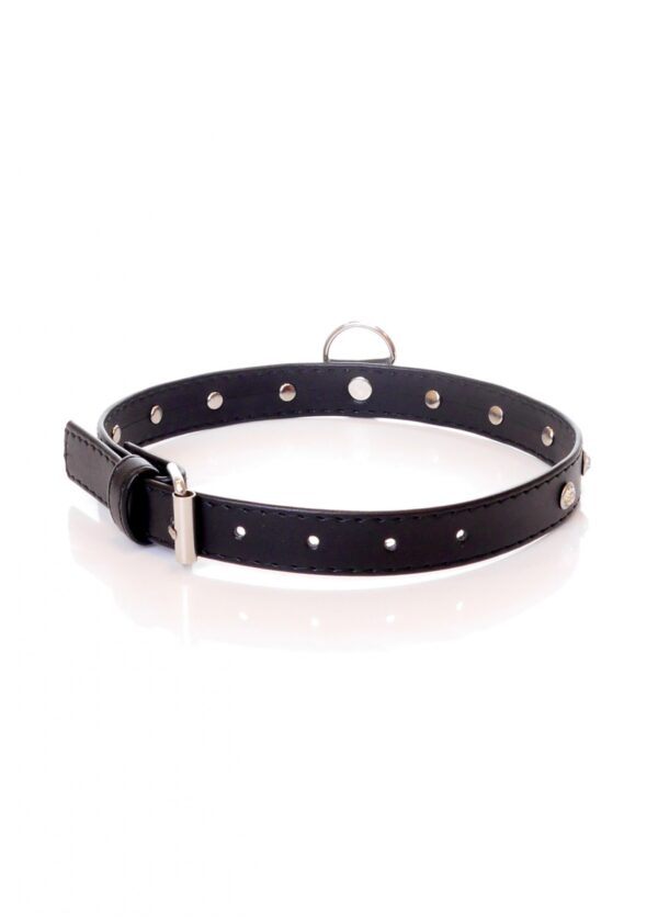 Fetish B   Series   Collar 2 cm silver crystal - obrazek 2