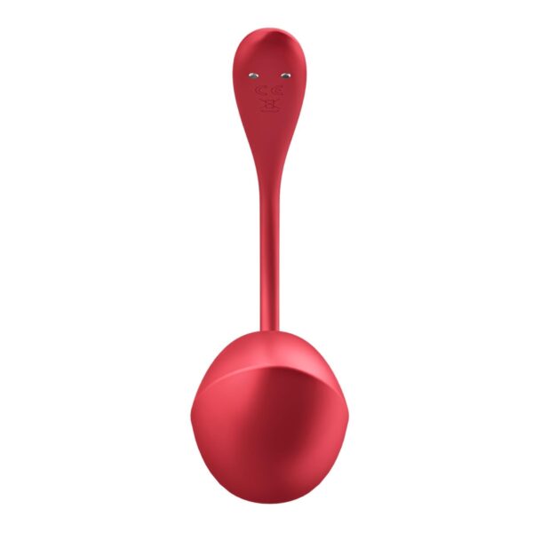 Shiny Petal red Connect App - obrazek 3
