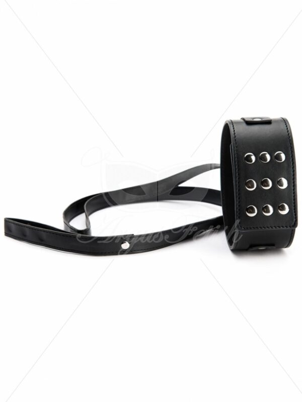 Black Collar With Leash - obrazek 3