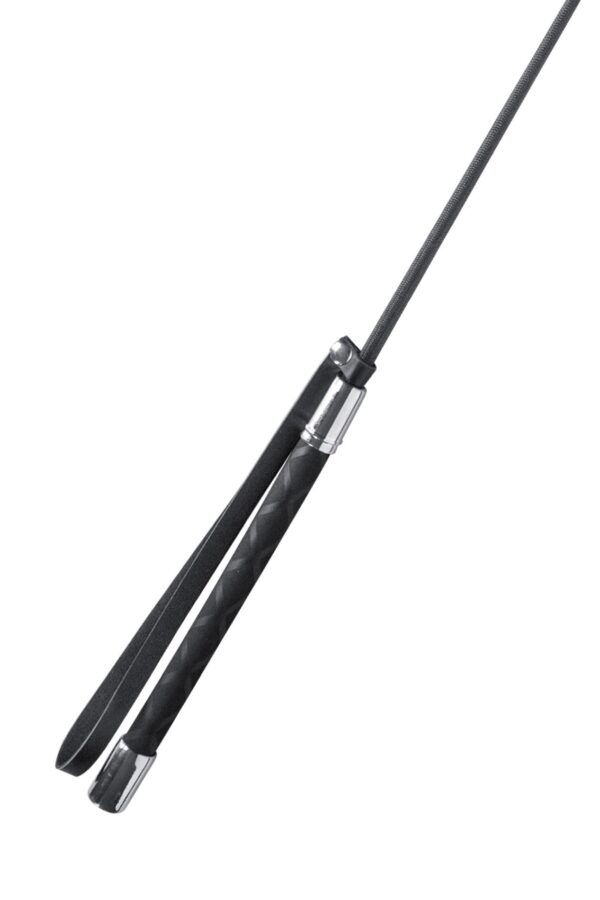 BLACK WHIP - obrazek 3