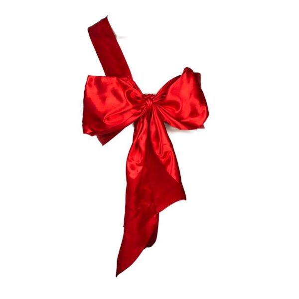 Red sexy costume bow Naughty Knot - obrazek 3