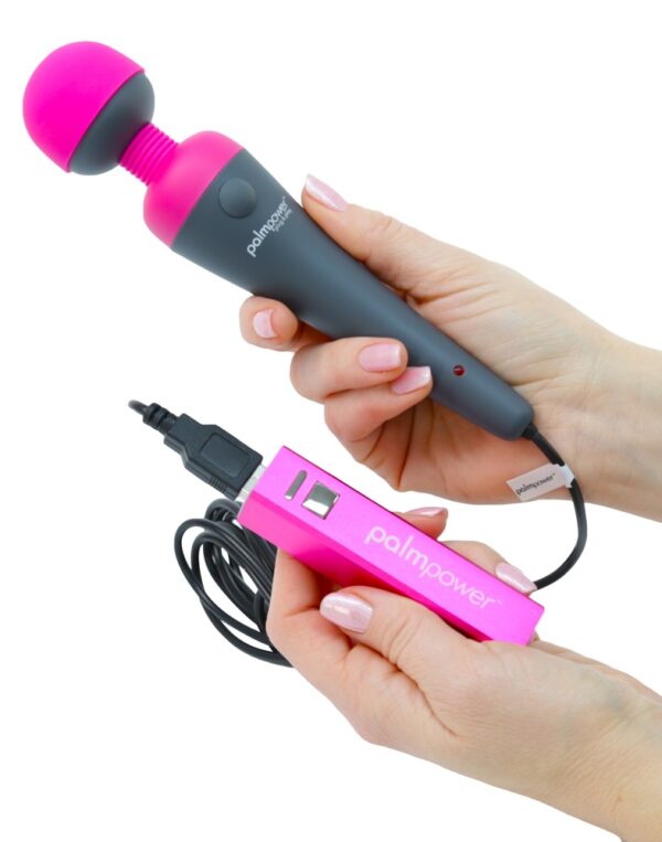 Palm Power Plug & Play - obrazek 3