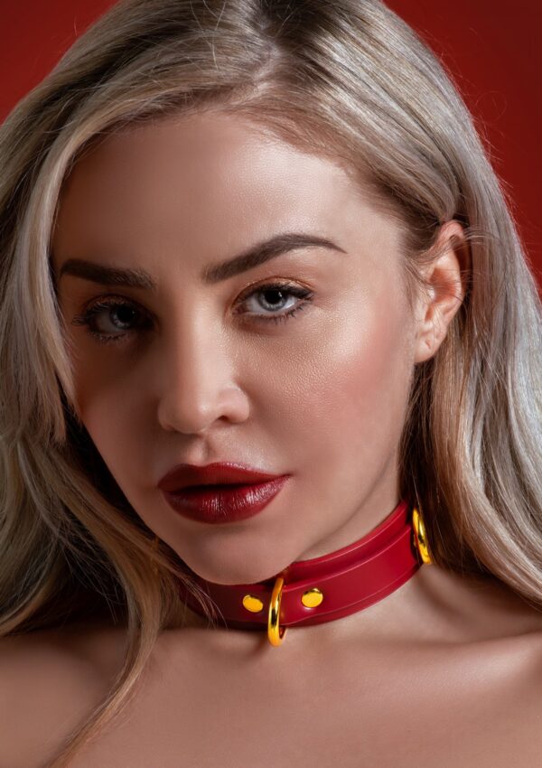D Ring Collar Deluxe Red - obrazek 3