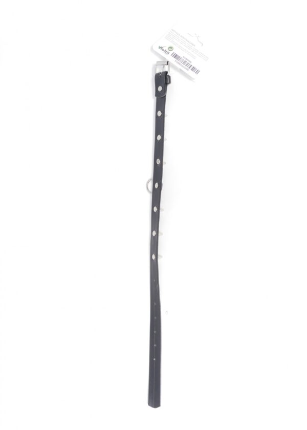 Fetish B   Series Collar with studs 2 cm - obrazek 3