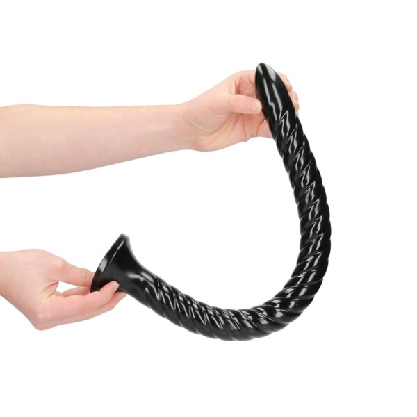 Swirled Anal Snake   20/ 50 cm - obrazek 3