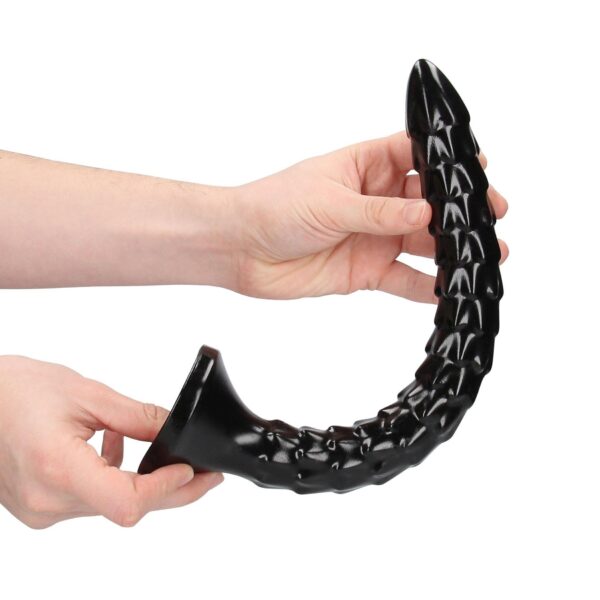 Scaled Anal Snake   12/ 30 cm - obrazek 3