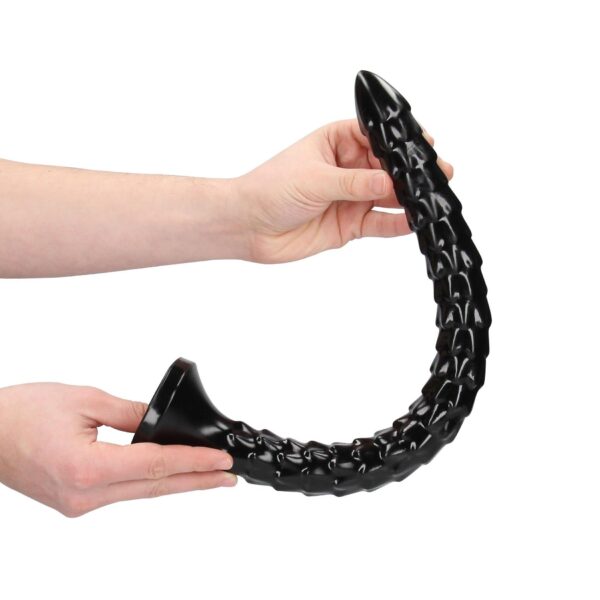 Scaled Anal Snake   16/ 40 cm - obrazek 3