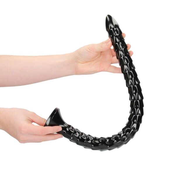 Scaled Anal Snake   20/ 50 cm - obrazek 3