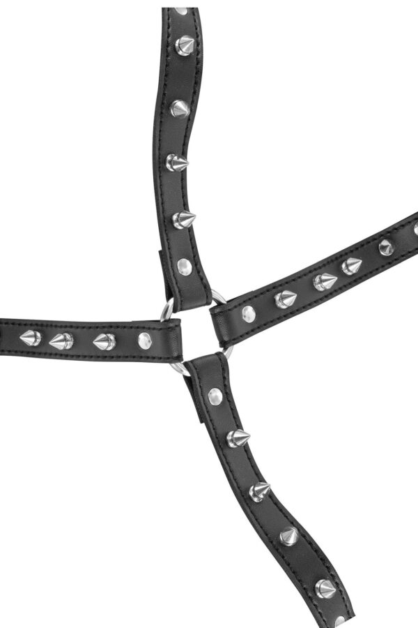 SEXY CHEST HARNESS WITH PICS - obrazek 3