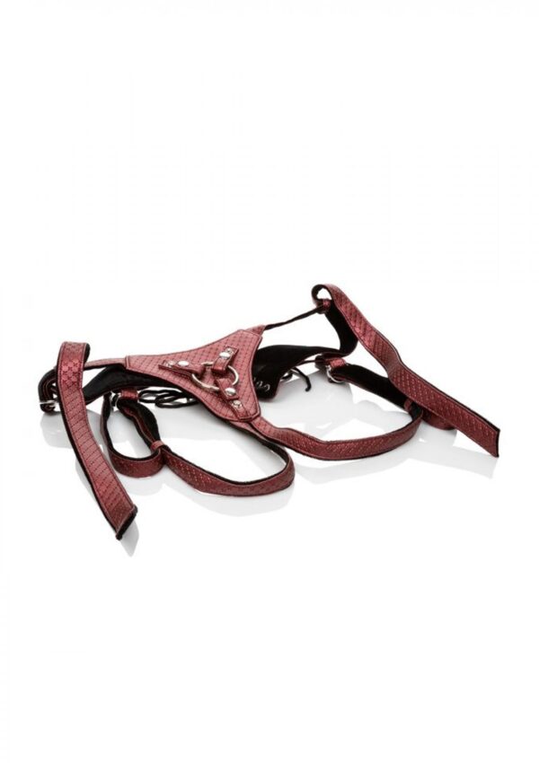The Regal Queen Red - obrazek 4