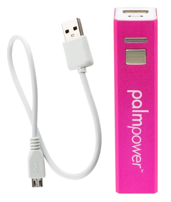 Palm Power Plug & Play - obrazek 4