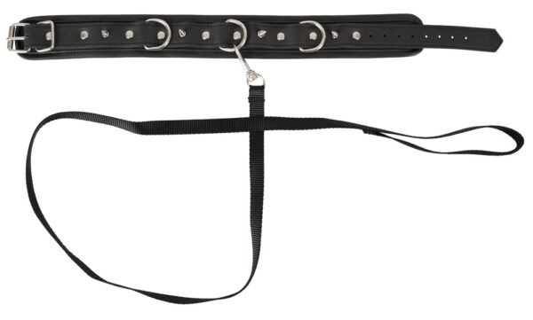 Collar vegan - obrazek 4