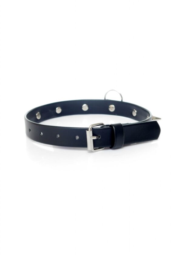 Fetish B   Series Collar with studs 2 cm - obrazek 4