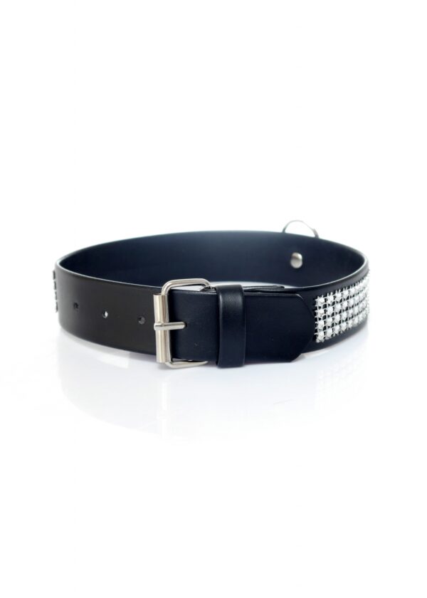 Fetish B   Series Collar with crystals 3 cm silver - obrazek 4