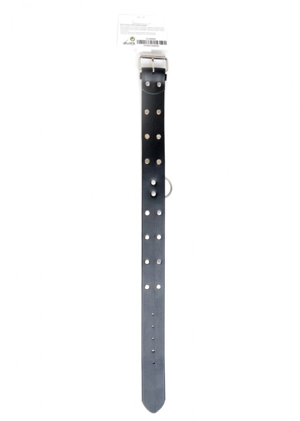 Fetish B   Series Collar with studs 4 cm - obrazek 4