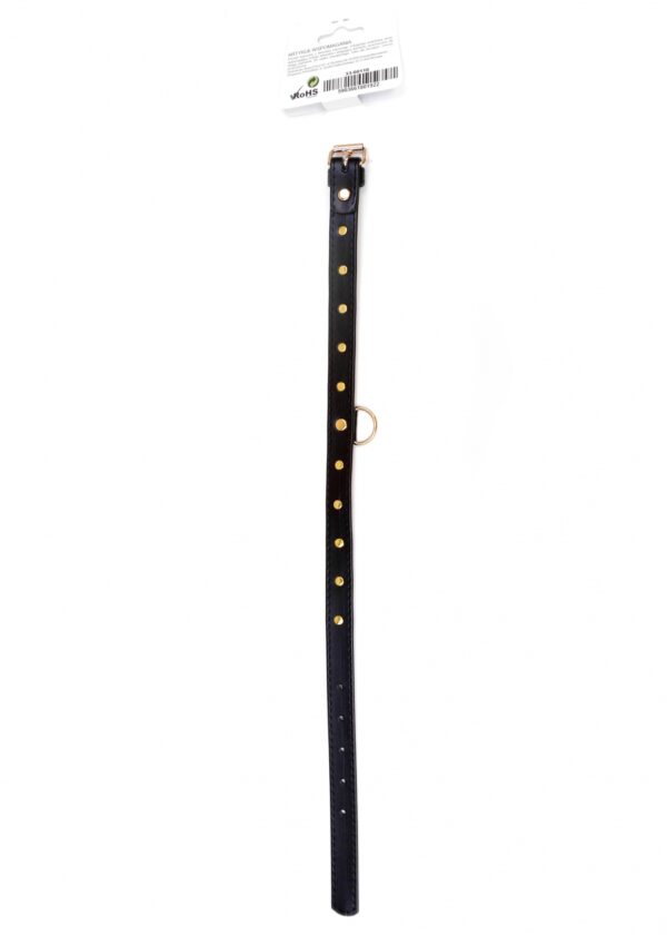 Fetish B   Series   Collar 2 cm gold crystal - obrazek 4