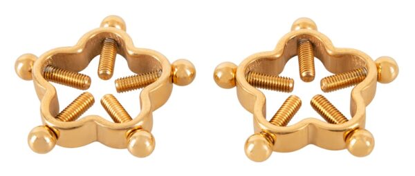 Bad Kitty Nipple Jewellery Gol - obrazek 4