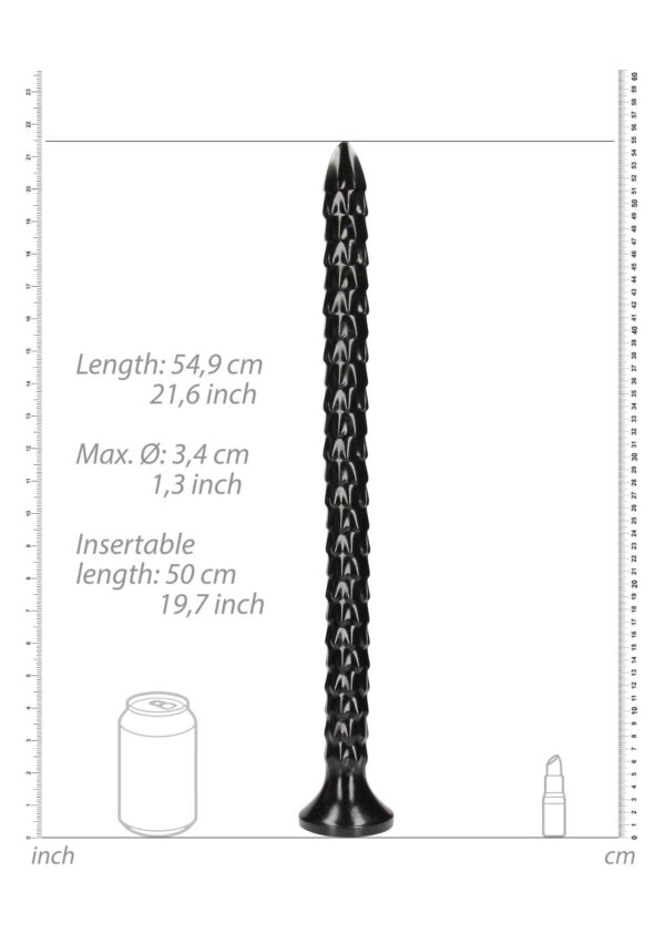 Scaled Anal Snake   20/ 50 cm - obrazek 4