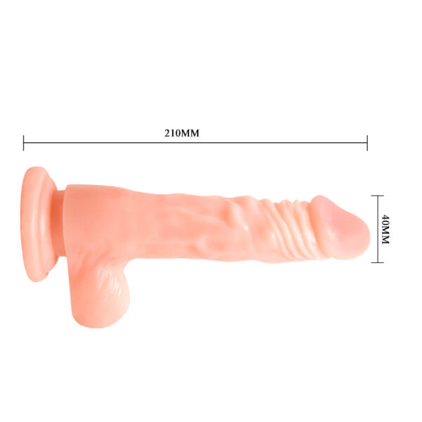 BAILE   COCK 8,5 - obrazek 4