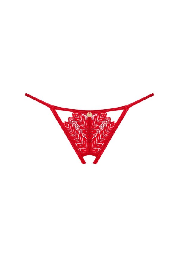 Ingridia stringi otwarte  M/L - obrazek 5